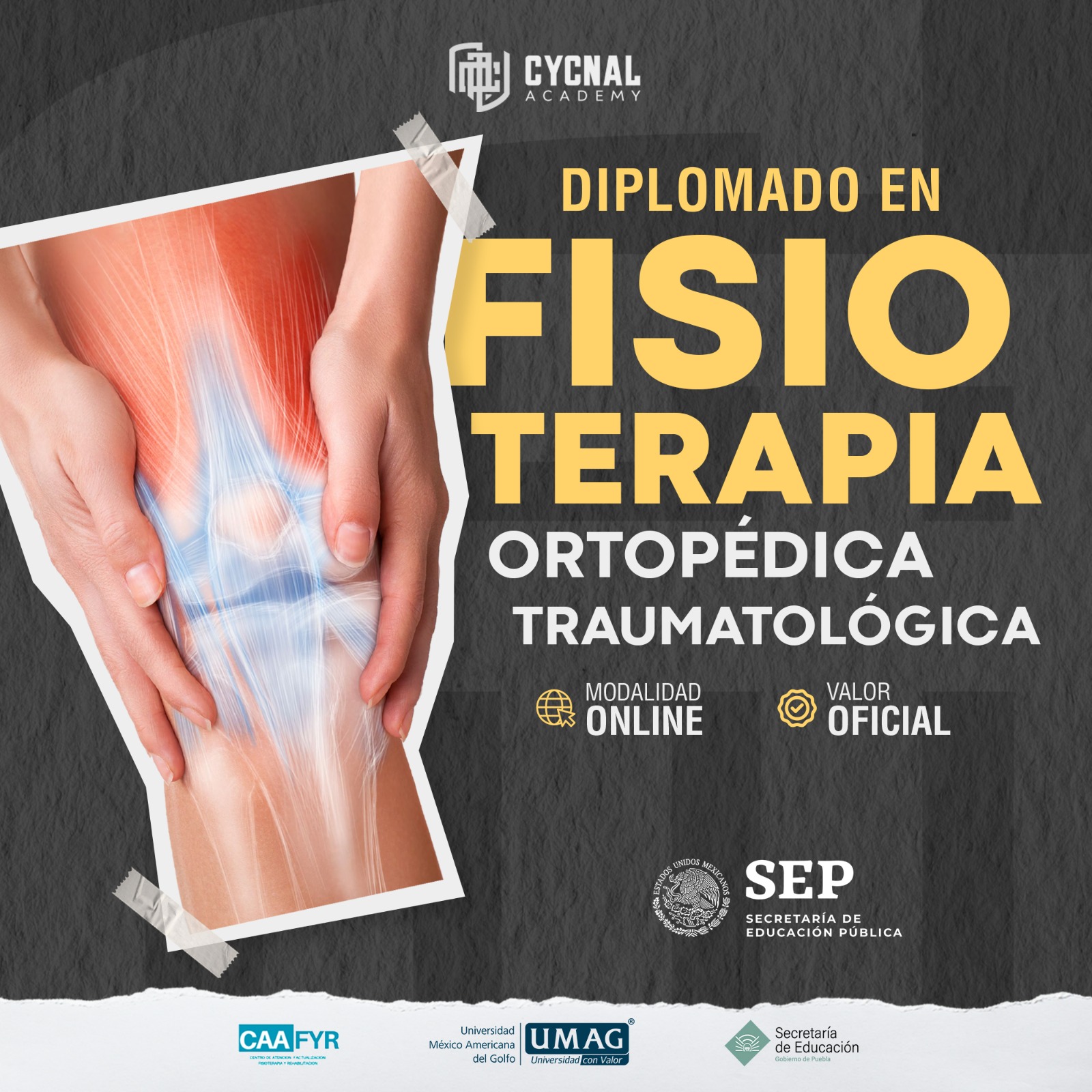 FISIOTERAPIA